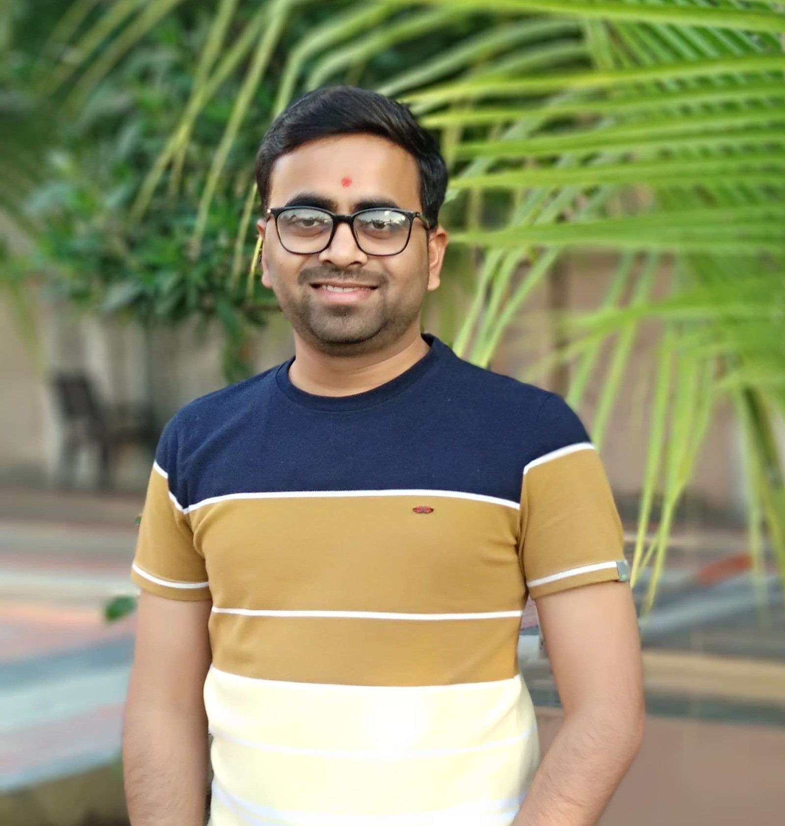 Jayesh Pipaliya - Team Member